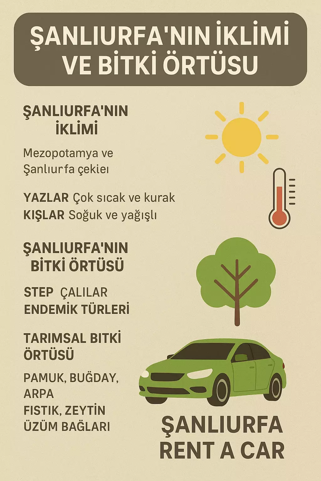 Şanlıurfa’nın İklimi ve Bitki Örtüsü: Mezopotamya’nın Doğal Zenginlikleri
