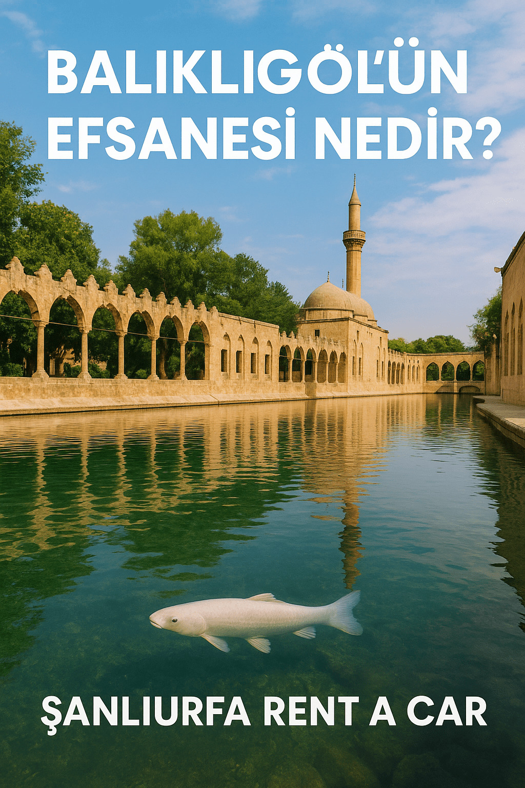Balıklıgöl’ün Efsanesi Nedir? Balıklıgöl Beyaz Balık Hikâyesi